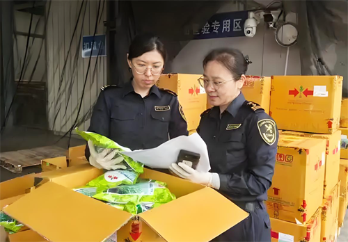 種子從香港進口到內地的通關要求